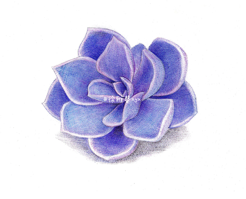 《圓珠筆細(xì)密手繪》原稿出售~（圖ZNDA0MTI1MzI=） - 商業(yè)插畫(huà) - 站酷設(shè)計(jì)師雅馨Elsie原創(chuàng)素材 - 站酷ZCOOL