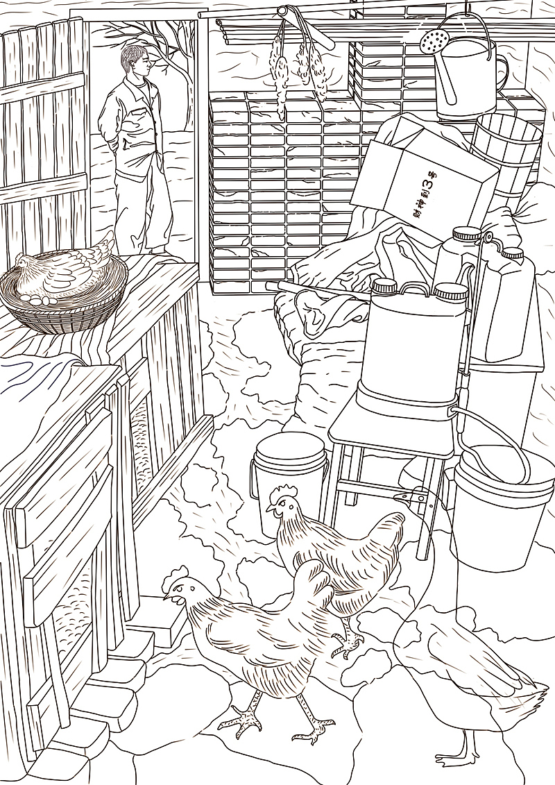 鸡舍线稿