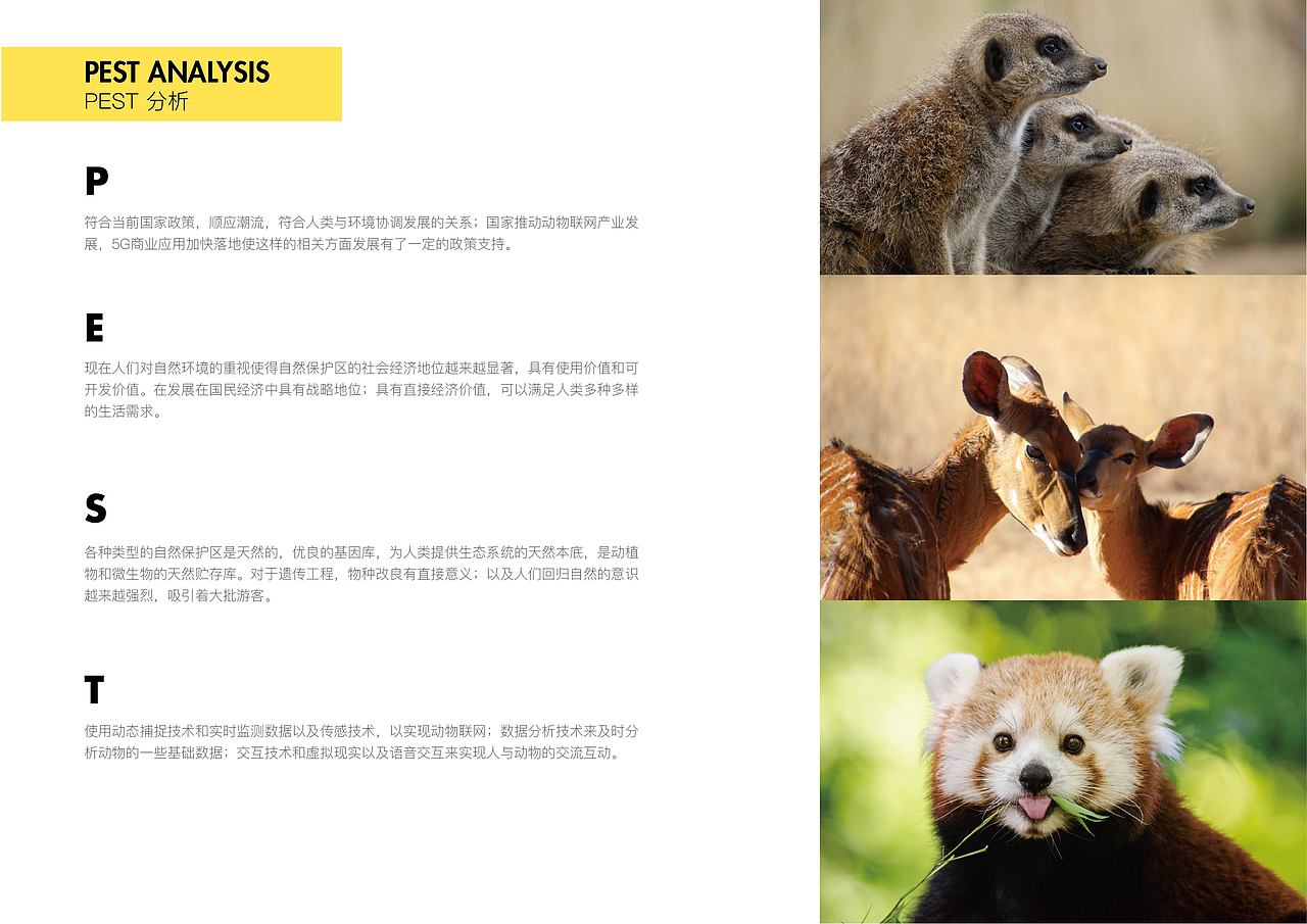 MR眼镜游园交互项目