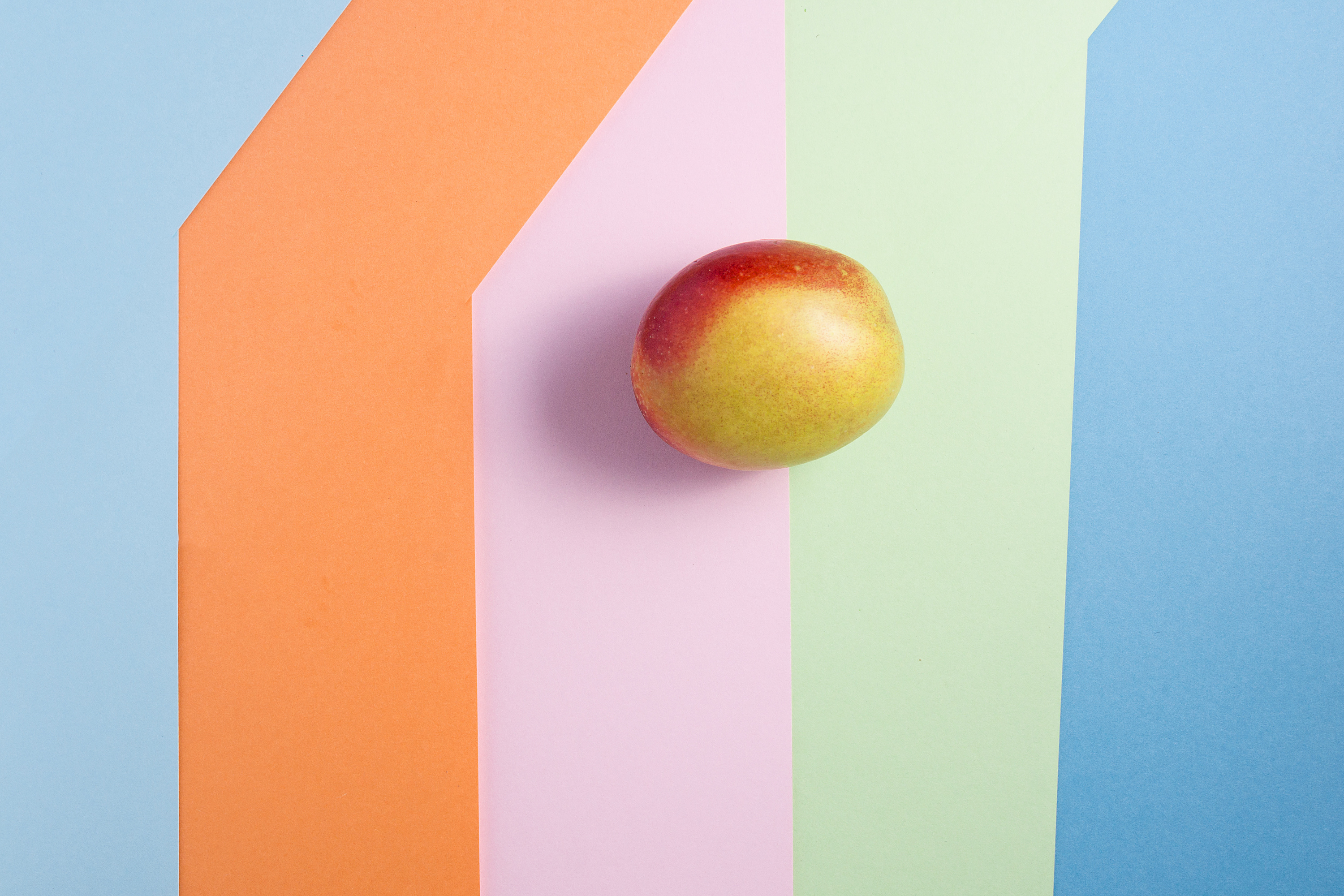 彩色背景下的桃子