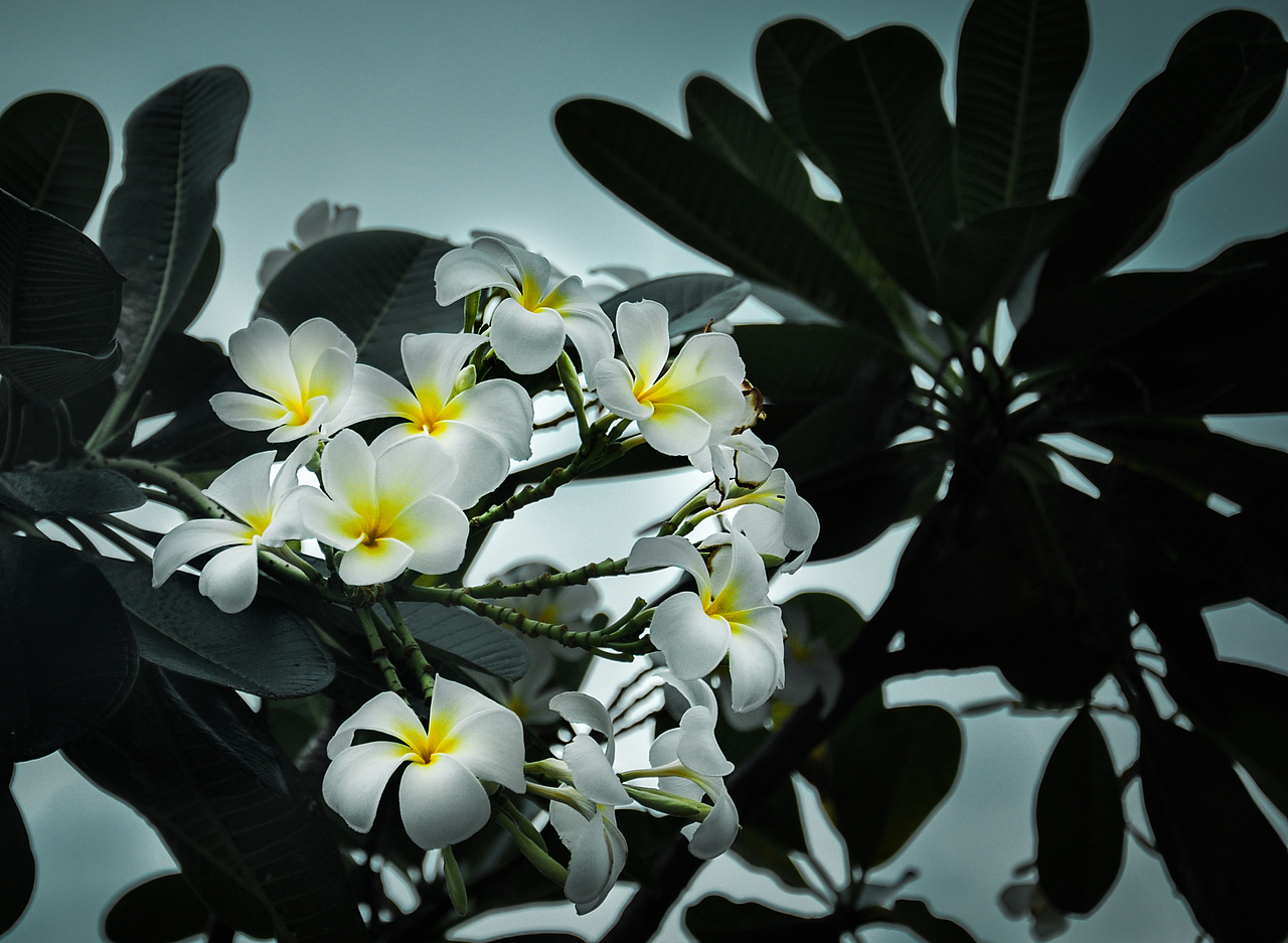 普吉岛（图ZMjM4MDcyMjQ=） - 风光摄影 - 站酷设计师birdy314原创素材 - 站酷ZCOOL