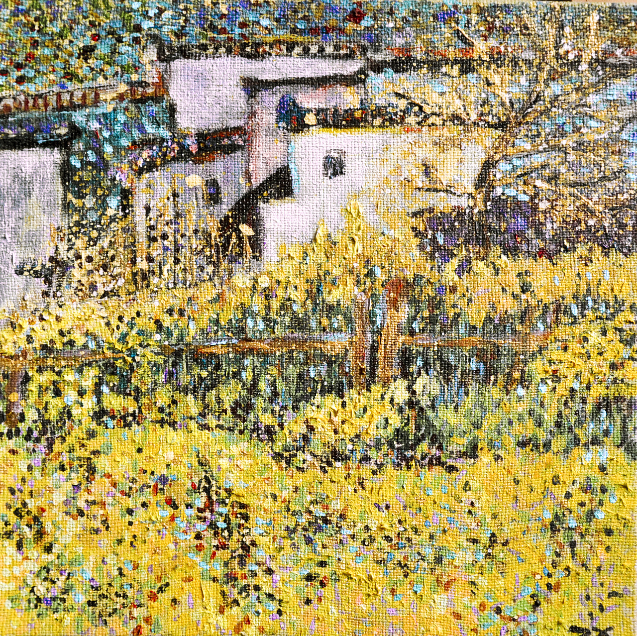 满山都是金黄的油菜花,如此娇艳的盛放,我