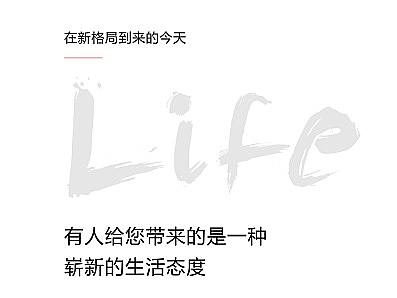 企业网页设计
