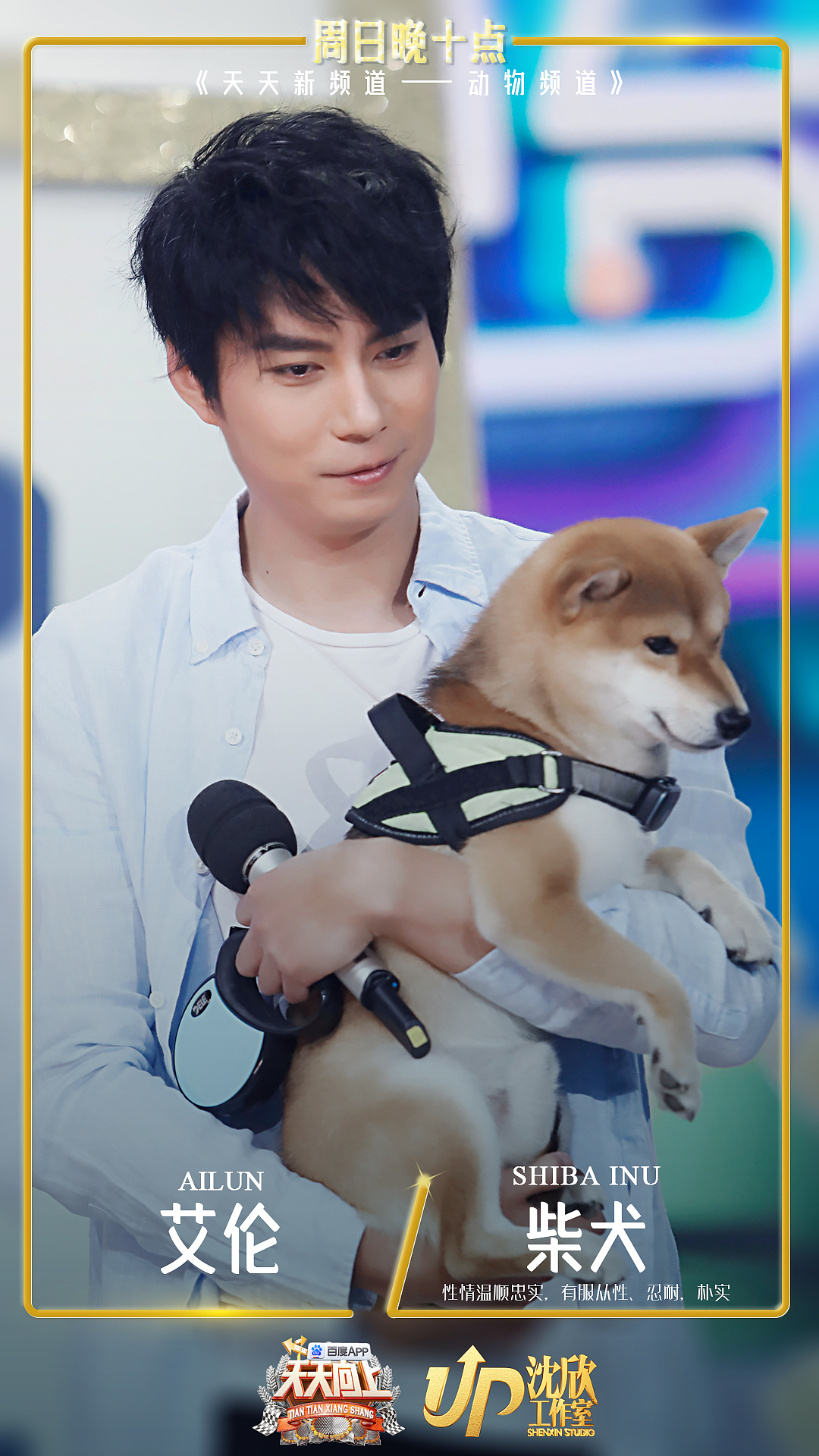 个人节目海报设计