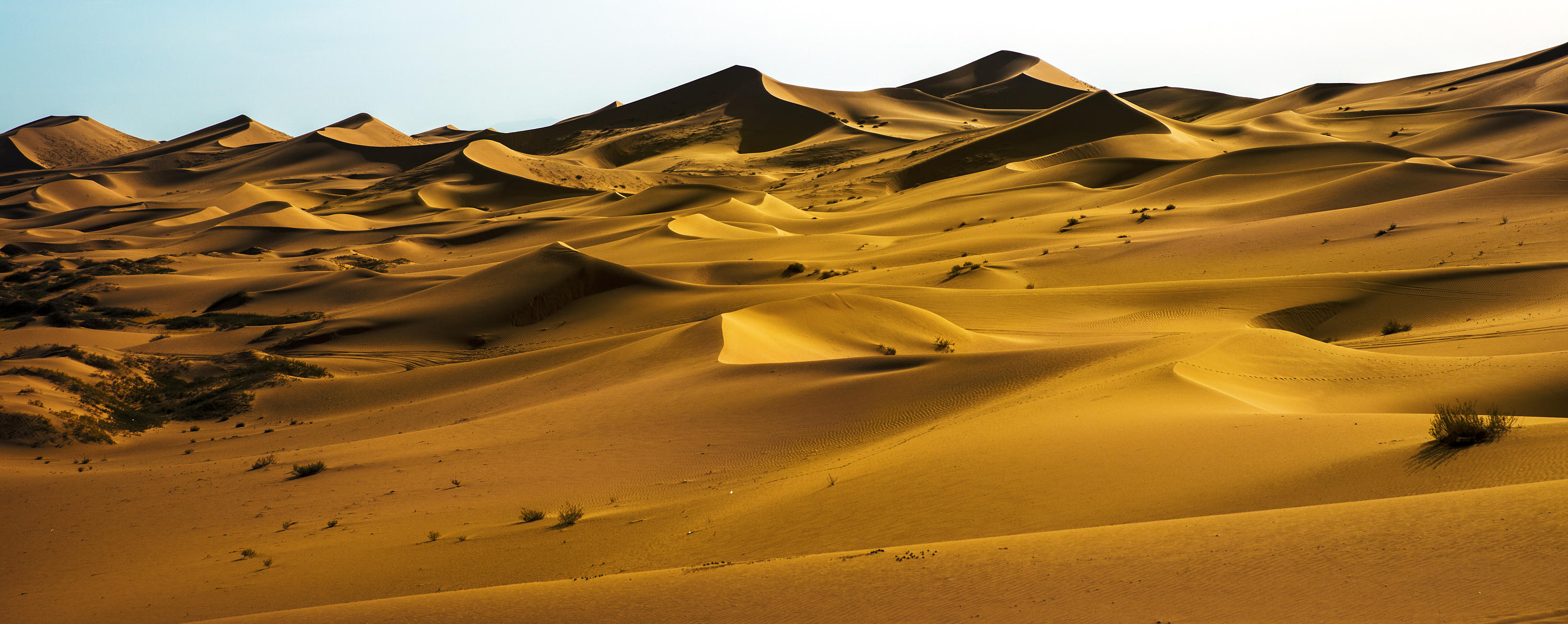 来自《腾格里沙漠》的图片