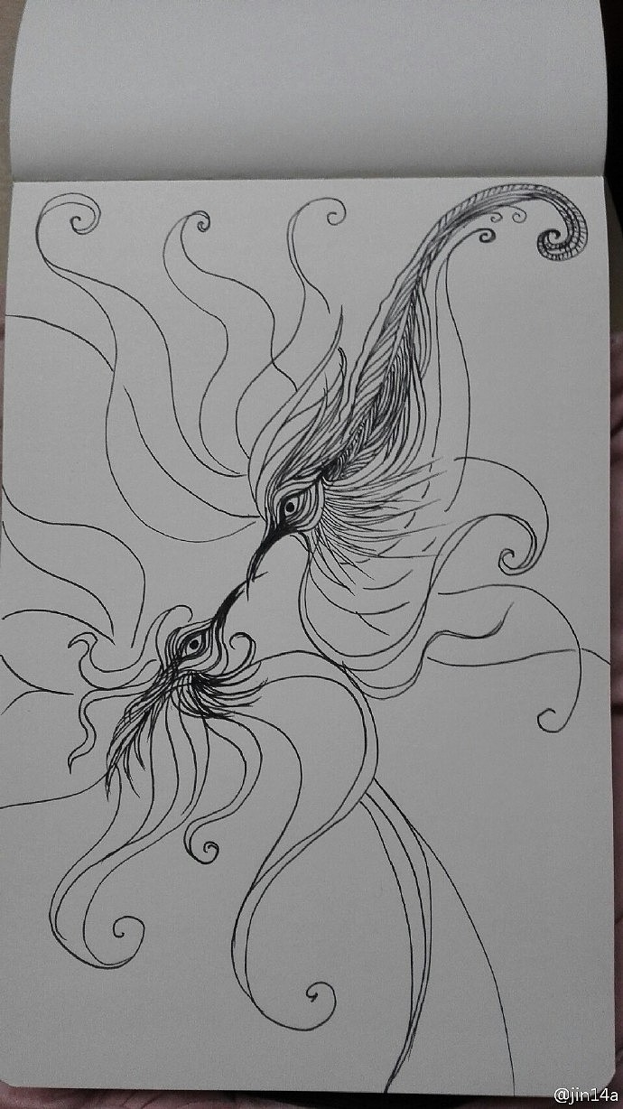凤求凰的草图~以前上班开会时的涂鸦，重新画一下，等有时间转大图精细上稿（图ZNTY4NjM4ODQ=） - 创作习作 - 站酷设计师jin14a原创素材 - 站酷ZCOOL