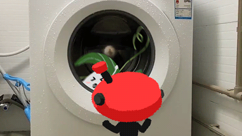 疫情上半年都干了些啥呀我