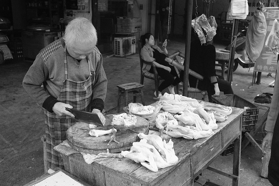 漫步成都系列-02