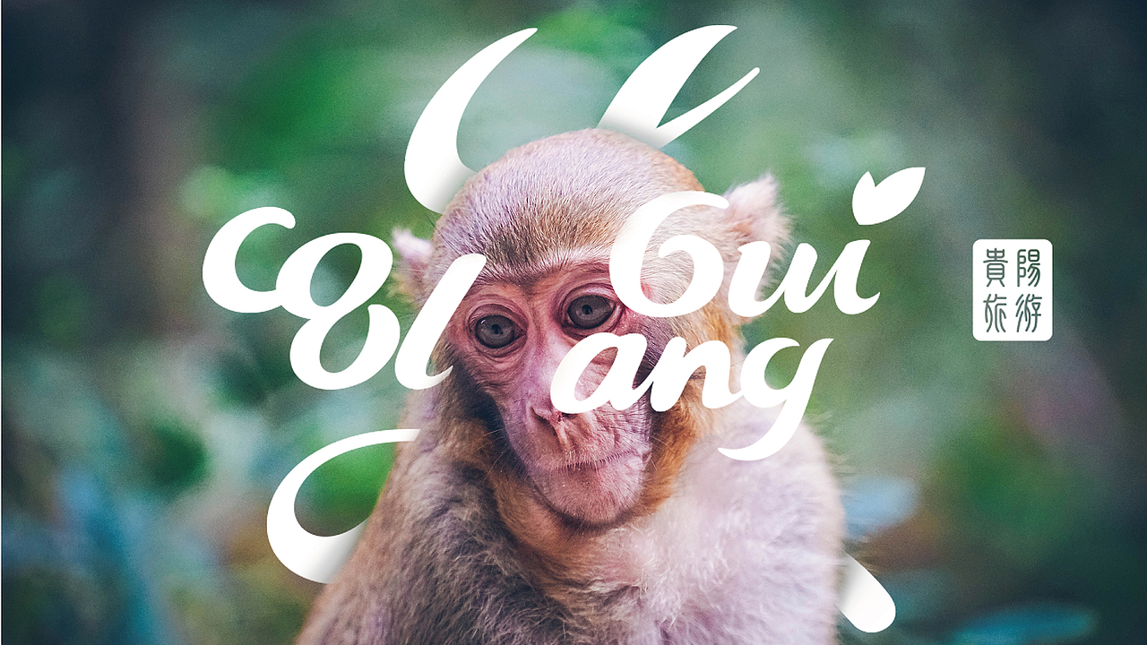 贵阳旅游品牌形象设计（图ZMTUyNzEzMTQw） - 品牌 - 站酷设计师贵州博睿广告原创素材 - 站酷ZCOOL