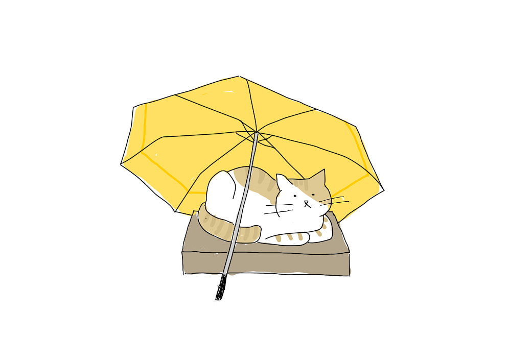 一只喜歡站肩膀上的貓（圖ZMjY0MTM3NjEy） - 創(chuàng)作習(xí)作 - 站酷設(shè)計(jì)師小君June原創(chuàng)素材 - 站酷ZCOOL