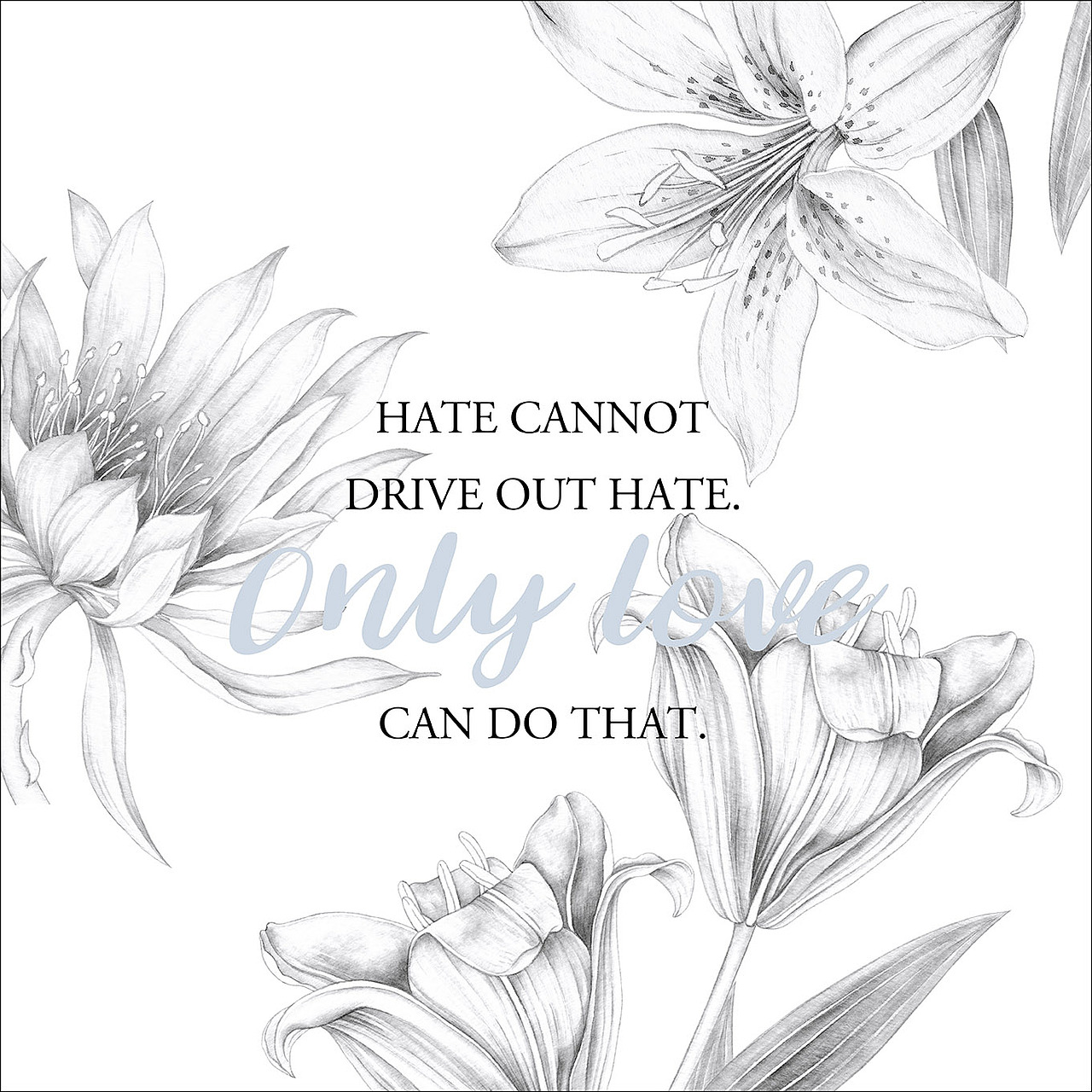 手绘植物篇(黑白花卉)