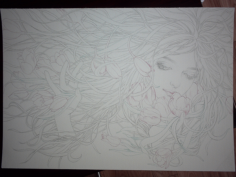 郁金香（图ZNzgyNTY1MTY=） - 绘画 - 站酷设计师kekebaby原创素材 - 站酷ZCOOL