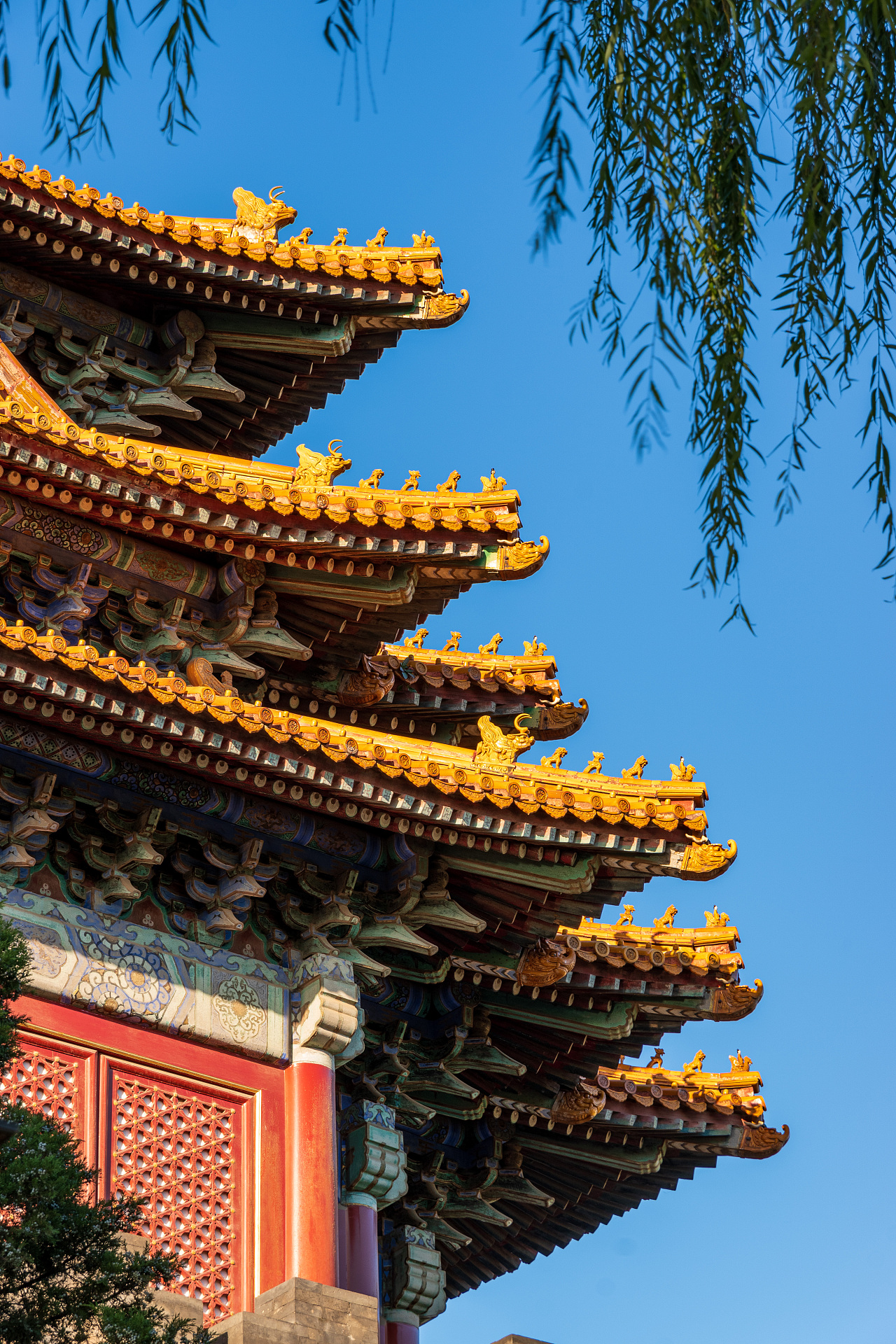 北京秋天的故宫角楼与银杏|摄影|环境/建筑摄影|z846441093 - 原创