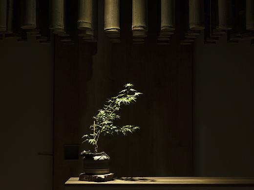 知造设计 | TECTONIC | 素朴为家——自宅设计（个人主页-ZNDQ2ODA1MjQ=） - 家装设计 - 站酷设计师知造设计研究室原创素材 - 站酷ZCOOL