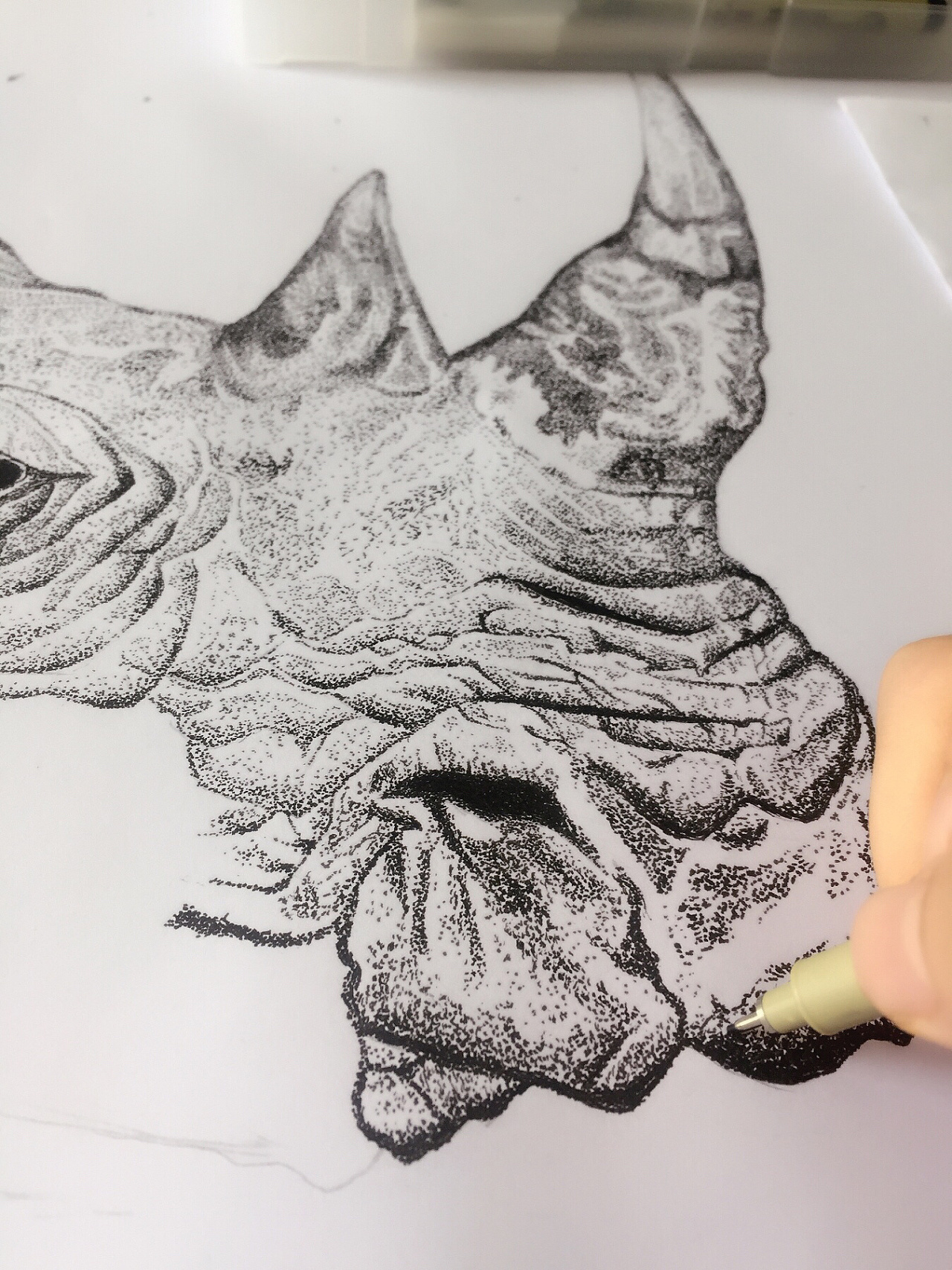 针管笔点绘作品《犀牛》1f98f