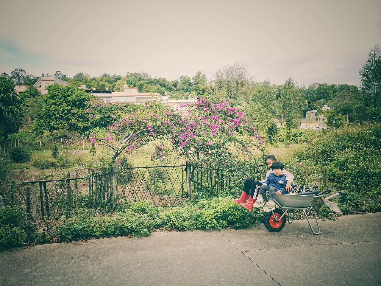 取舍，回归初心（图ZMjgxNDg1OTg0） - 风光摄影 - 站酷设计师治愈的花园原创素材 - 站酷ZCOOL