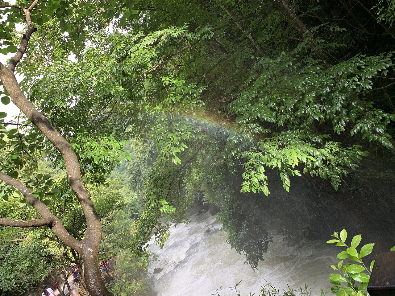 瀑间彩虹🌈