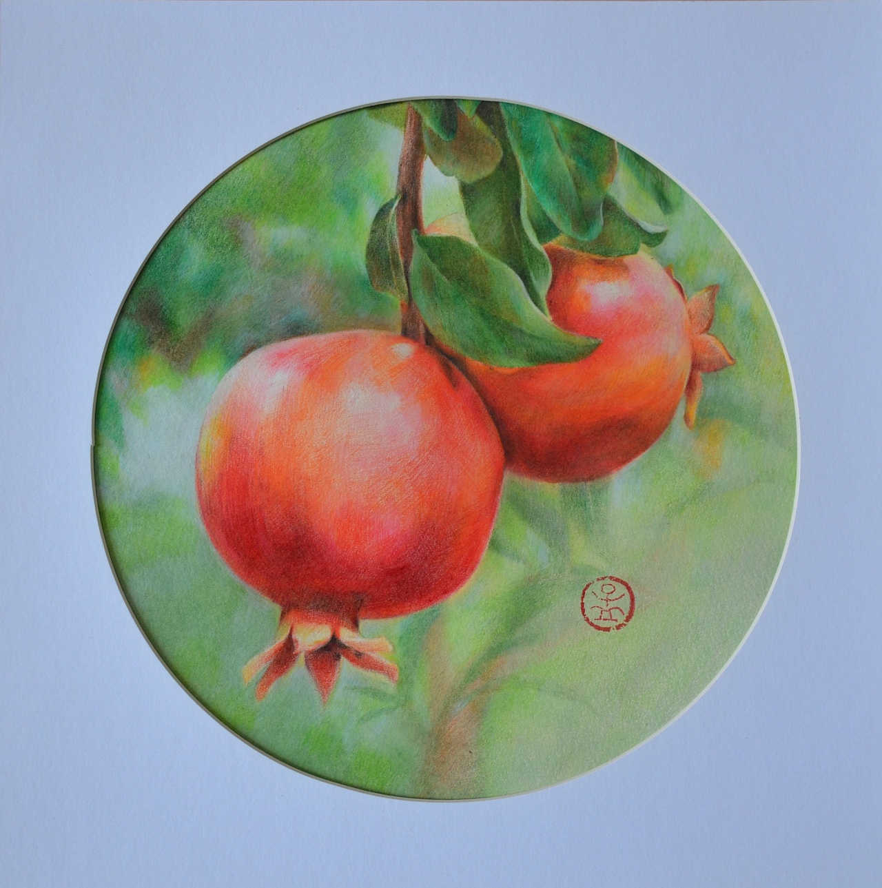 石榴|纯艺术|绘画|孟孟5352 - 原创作品 - 站酷 (zcool)