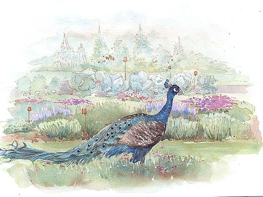 2017年插画小结