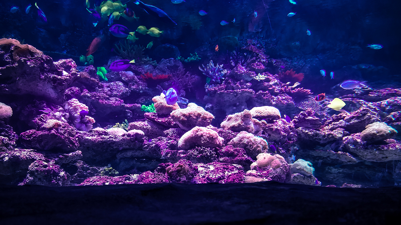 南昌融创海世界