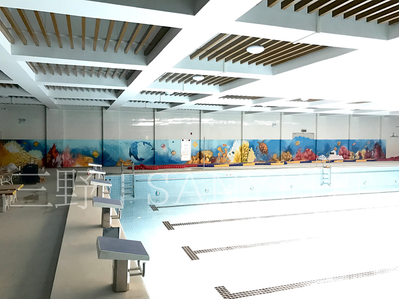 东莞东城虎英小学墙绘