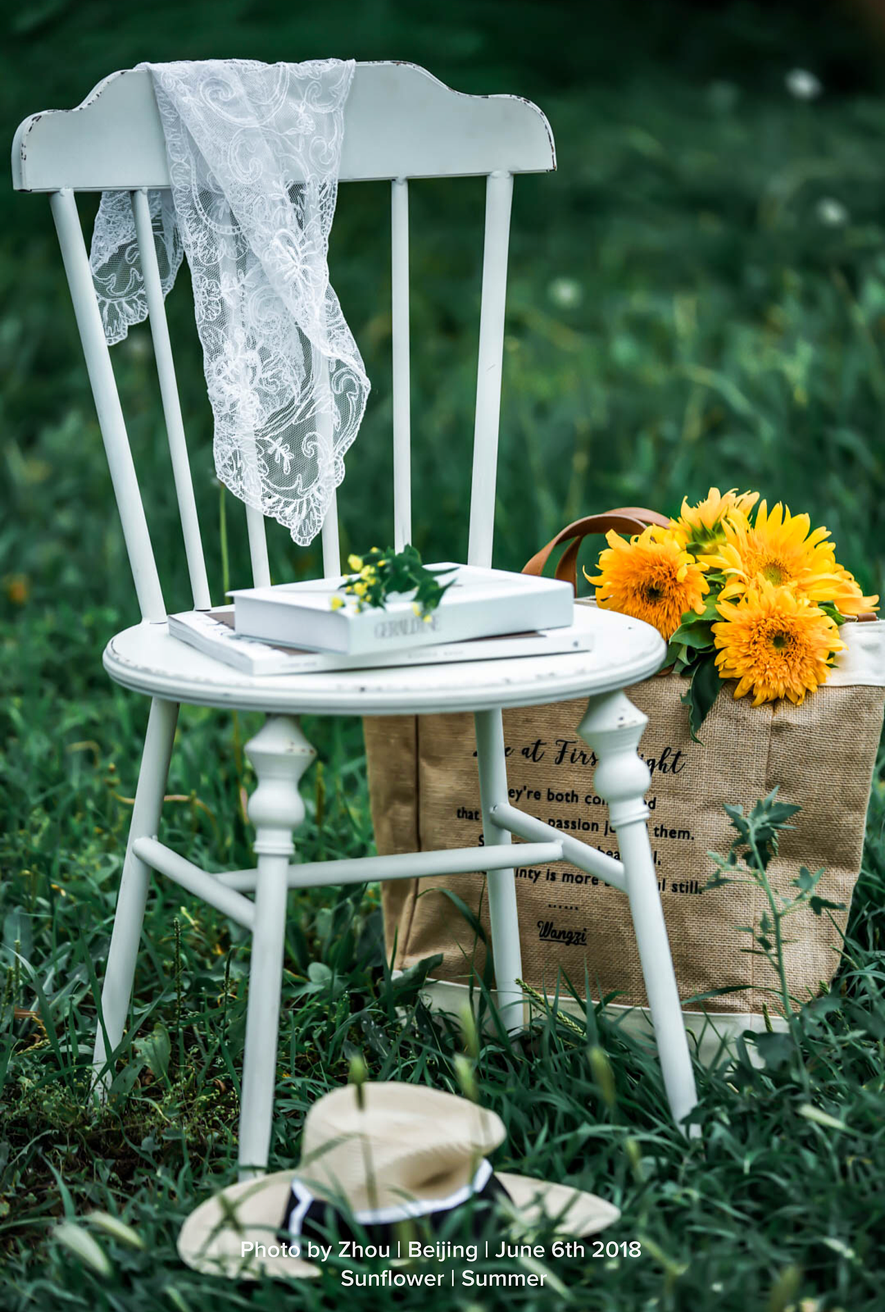 户外拍摄-夏日泰迪向日葵（图ZMTE3ODk2MTYw） - 产品摄影 - 站酷设计师zhou721原创素材 - 站酷ZCOOL