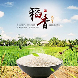 坚持工作日发图3000小时看变化