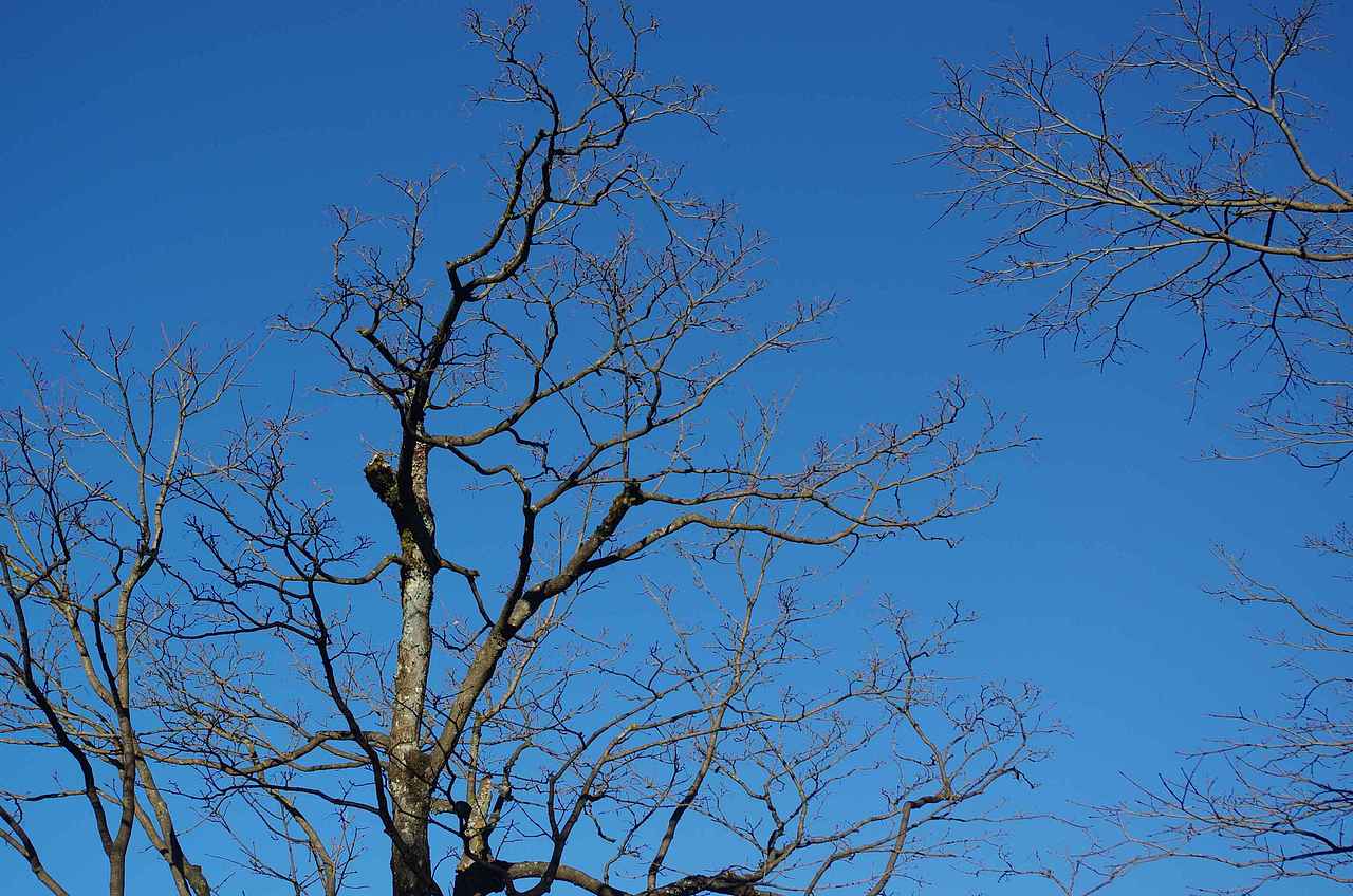 光与海，冰与雾（图ZNzI3MDgzMDg=） - 风光摄影 - 站酷设计师suki1011原创素材 - 站酷ZCOOL