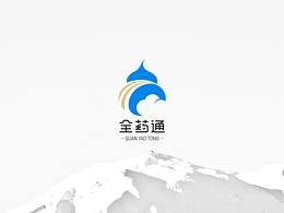 全药通VIS基础+应用