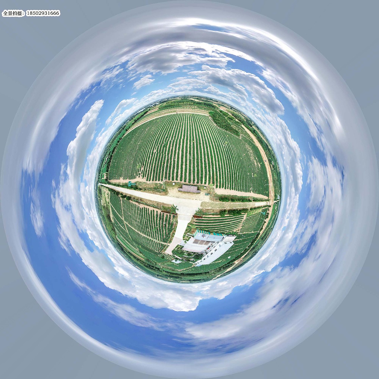 vr全景图_手绘地图导览-站酷zcool