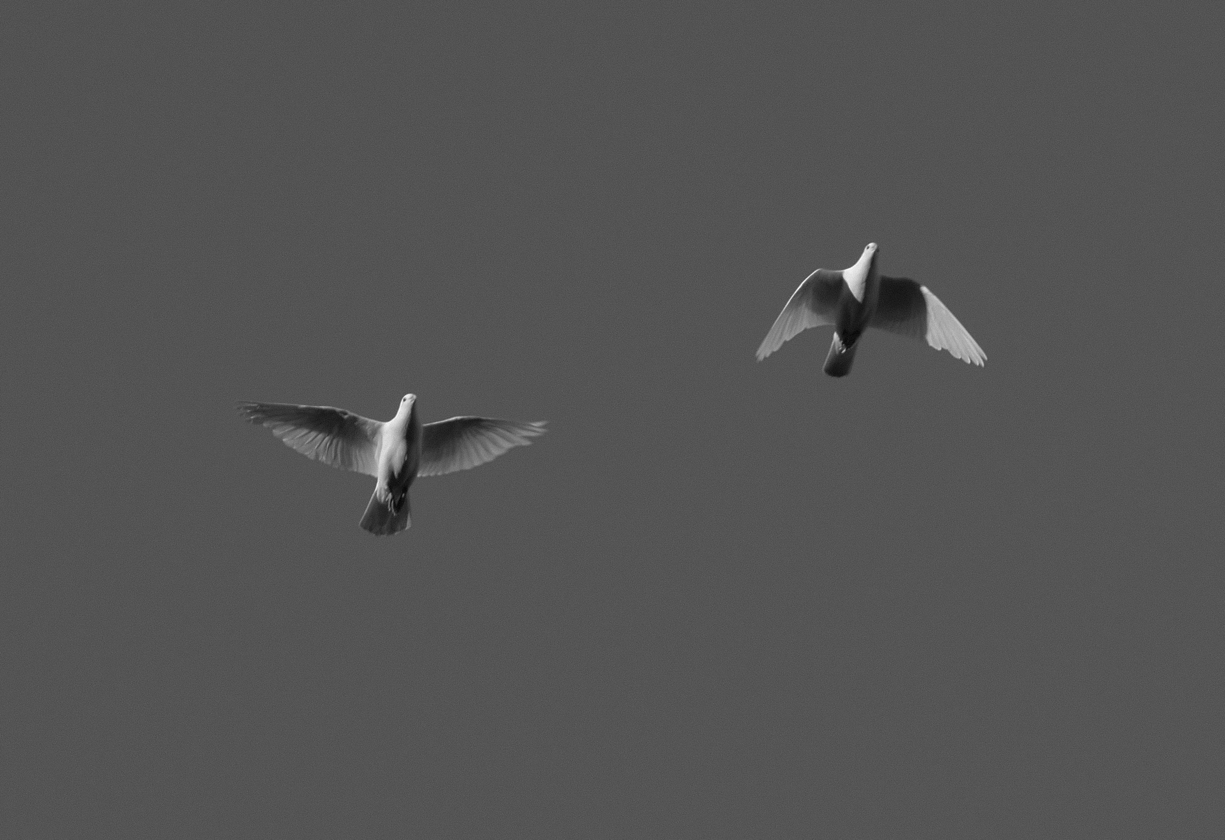 alwenshine的個(gè)人主頁(yè)（封面預(yù)覽） - 主頁(yè)封面設(shè)置 - 站酷設(shè)計(jì)師alwenshine原創(chuàng)素材 - 站酷ZCOOL