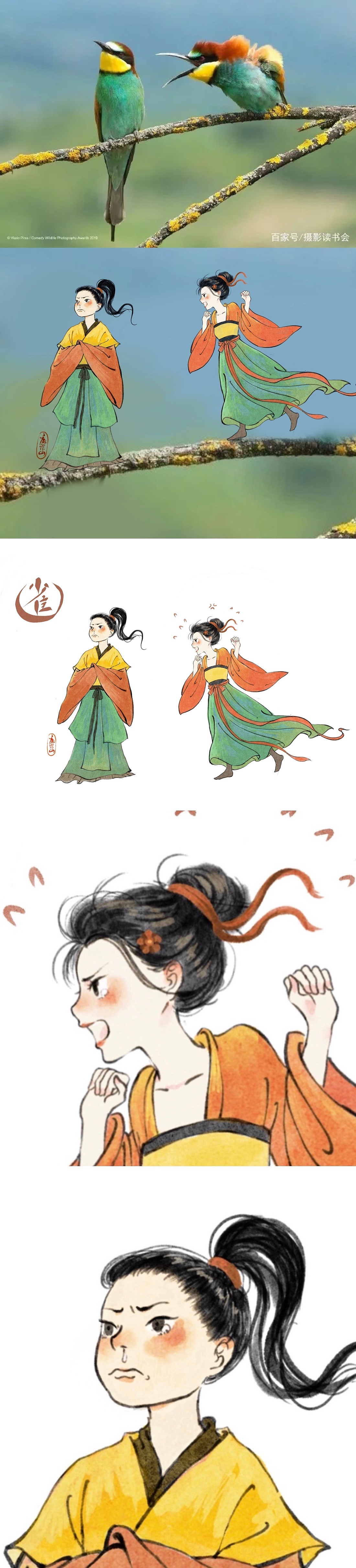 小鸟拟人第二波