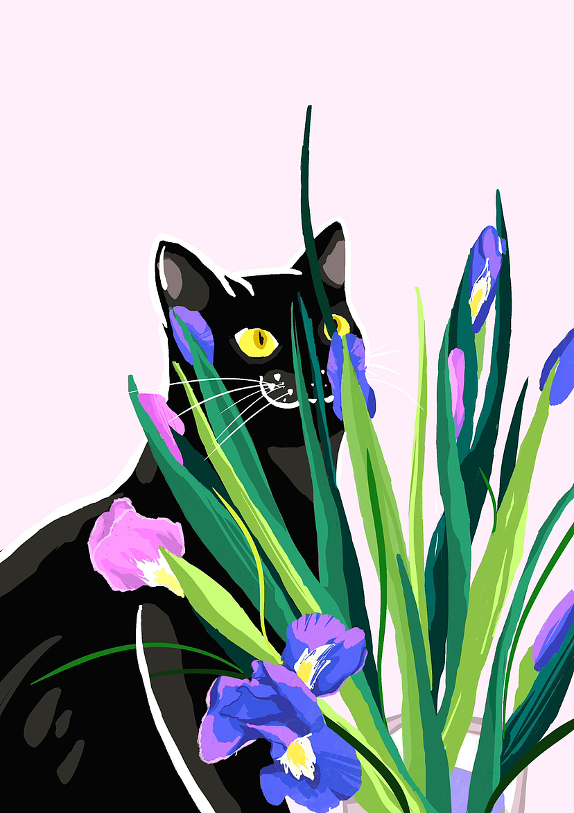 插画-春日一切明朗