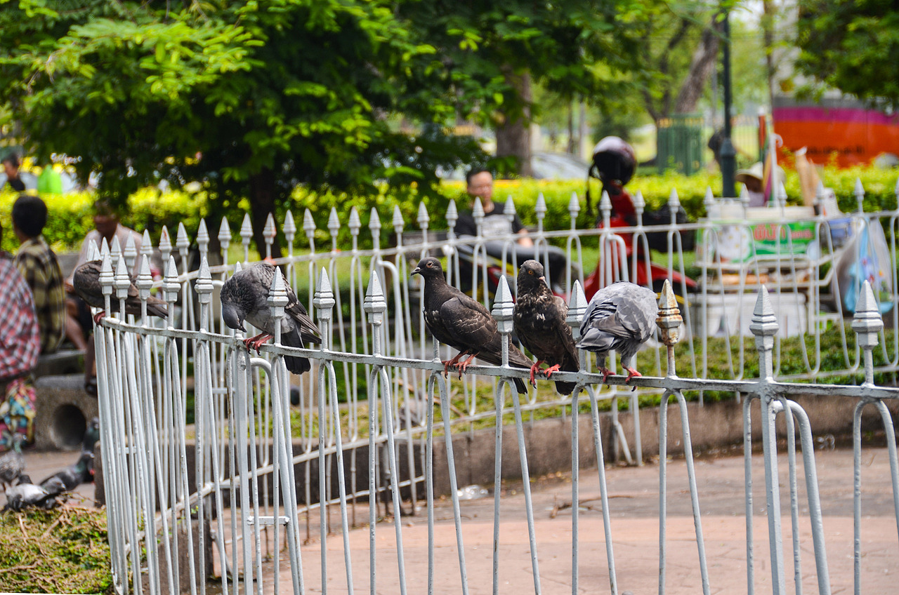 时光里的记忆—泰国(曼谷篇)