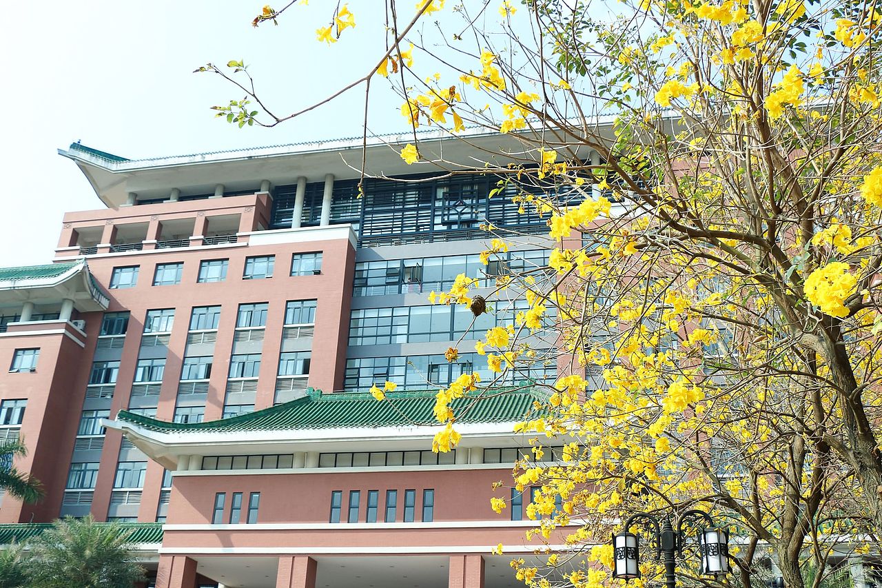 阳春三月在人海中赏花