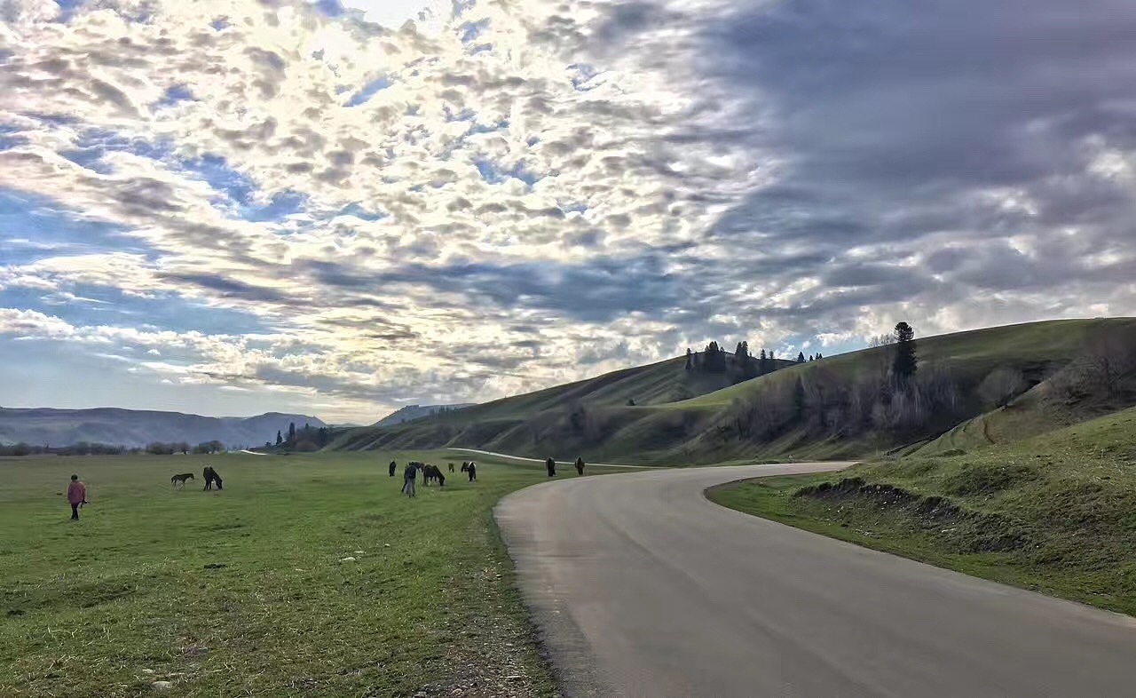 摄影|旅行随拍。