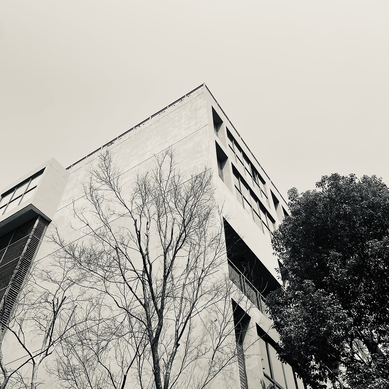 光影线条（图ZMzYzNTgzNjcy） - 其他摄影 - 站酷设计师笛三三原创素材 - 站酷ZCOOL