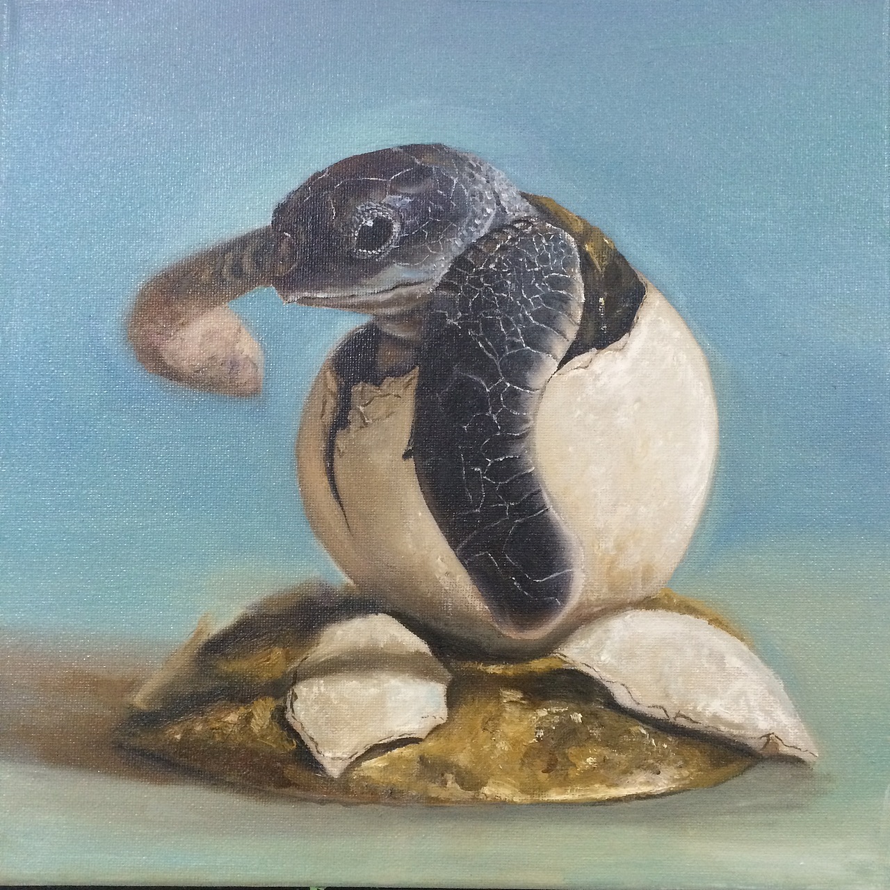 小龟（图ZNDkyMzU2NzY=） - 绘画 - 站酷设计师上著青艺原创素材 - 站酷ZCOOL