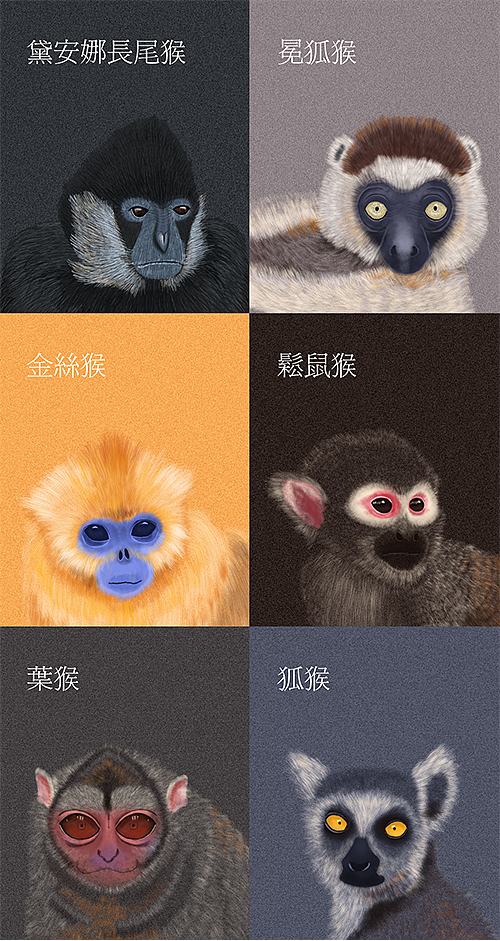 想整个百猴APP（图ZMTU0MDQ1NTcy） - APP界面 - 站酷设计师猴如花花原创素材 - 站酷ZCOOL