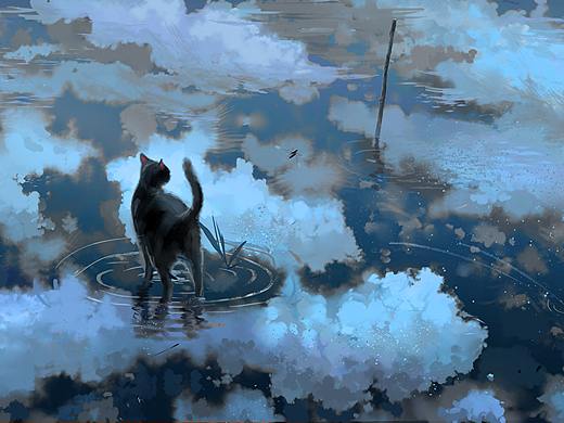 流浪的黑猫