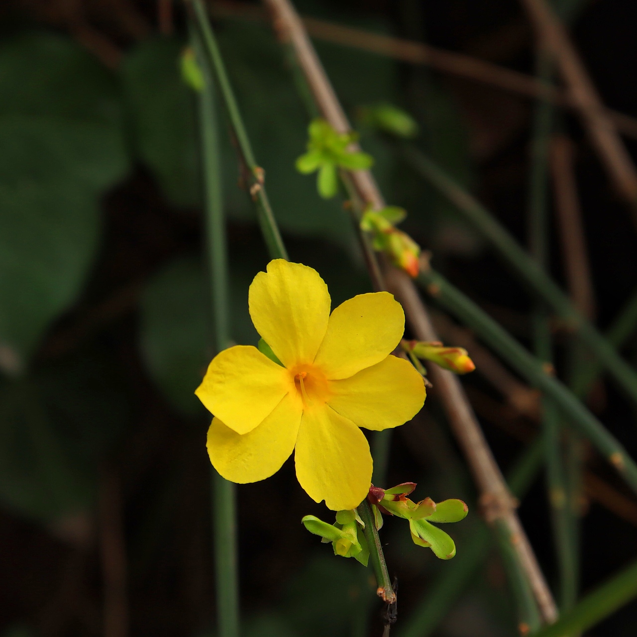 春天（圖ZMjAwMDY4OTEy） - 產(chǎn)品攝影 - 站酷設(shè)計(jì)師ring333原創(chuàng)素材 - 站酷ZCOOL