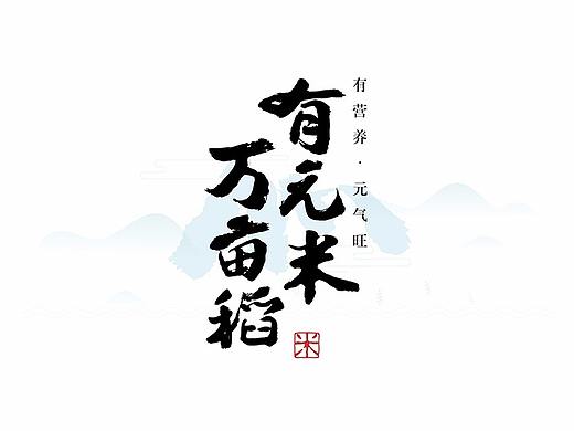 万亩稻有元米—品牌整体全案