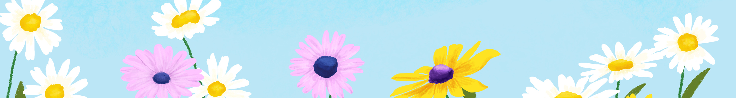 会画画的橙子的个人主页（封面预览） - 主页封面设置 - 站酷设计师会画画的橙子原创素材 - 站酷ZCOOL