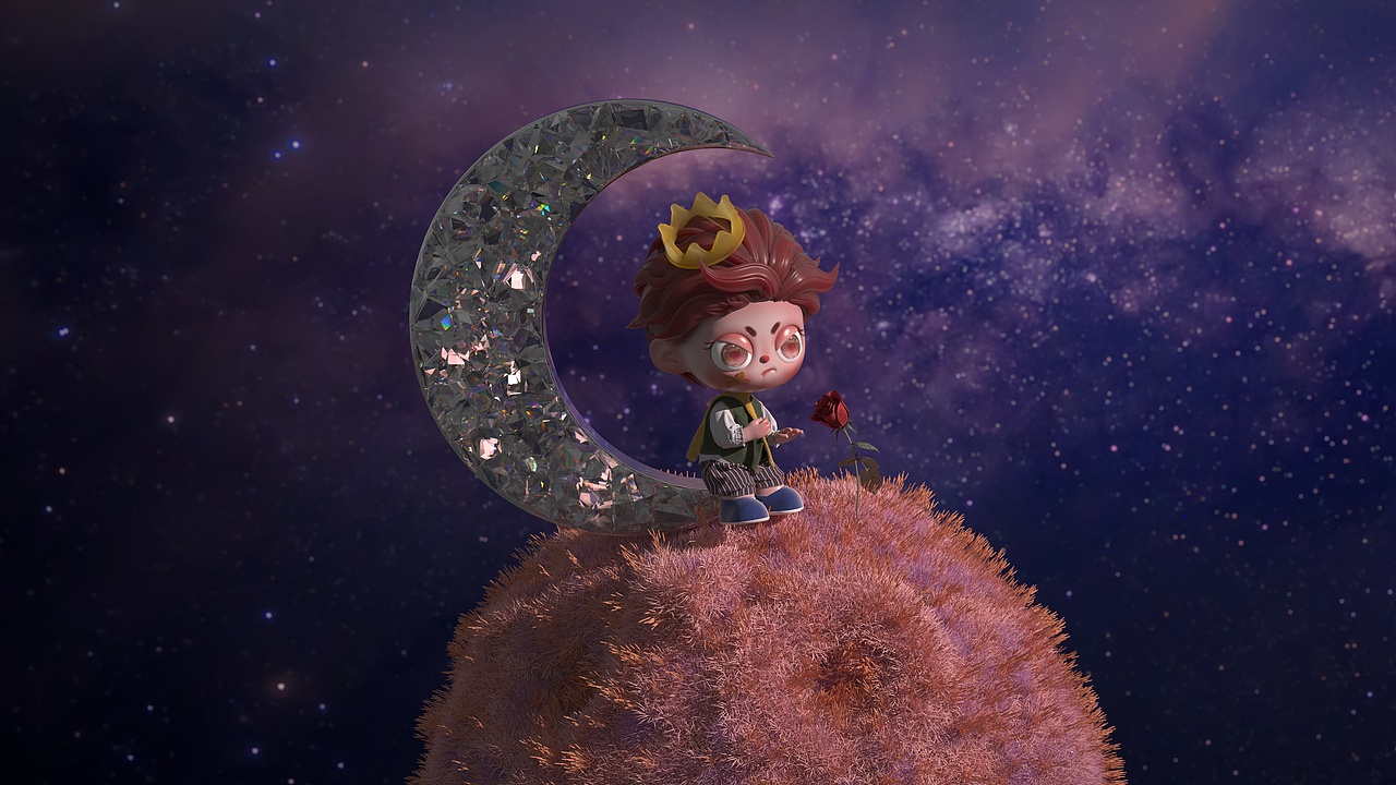 小王子和玫瑰花一起欣赏夜晚的星辰