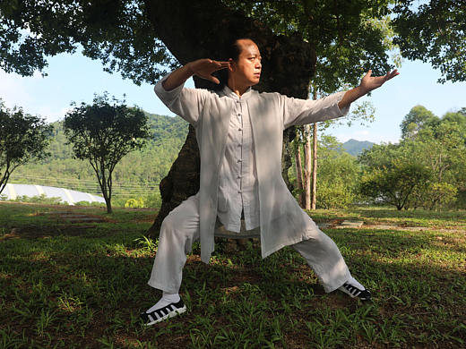 武当道致·理华