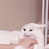 lilililii的头像