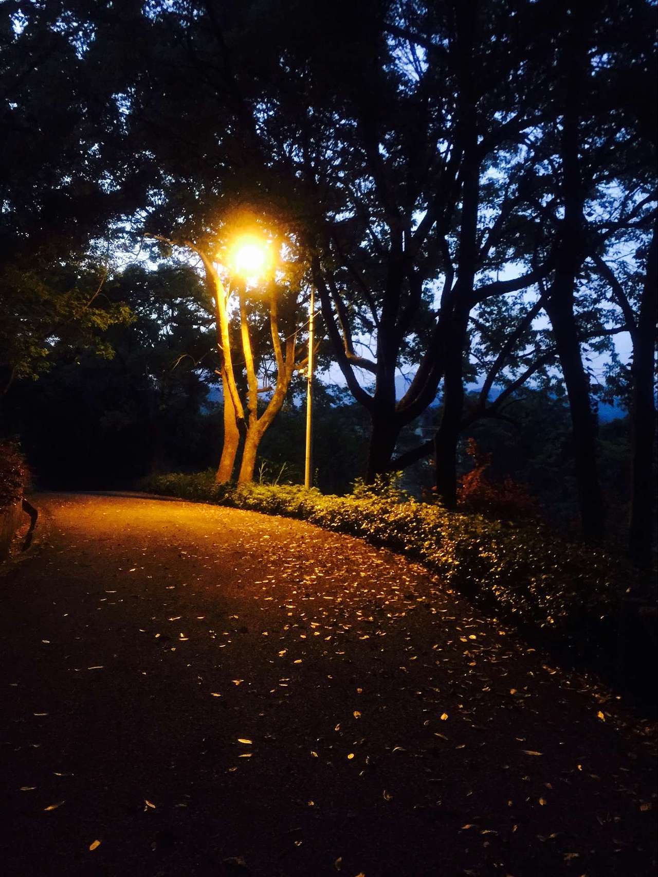 随手拍的照片（图ZNTQxNTQ2ODQ=） - 产品摄影 - 站酷设计师爱你的章鱼哥原创素材 - 站酷ZCOOL