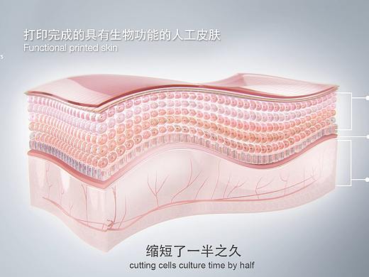 伽蓝集团3D皮肤打印技术
