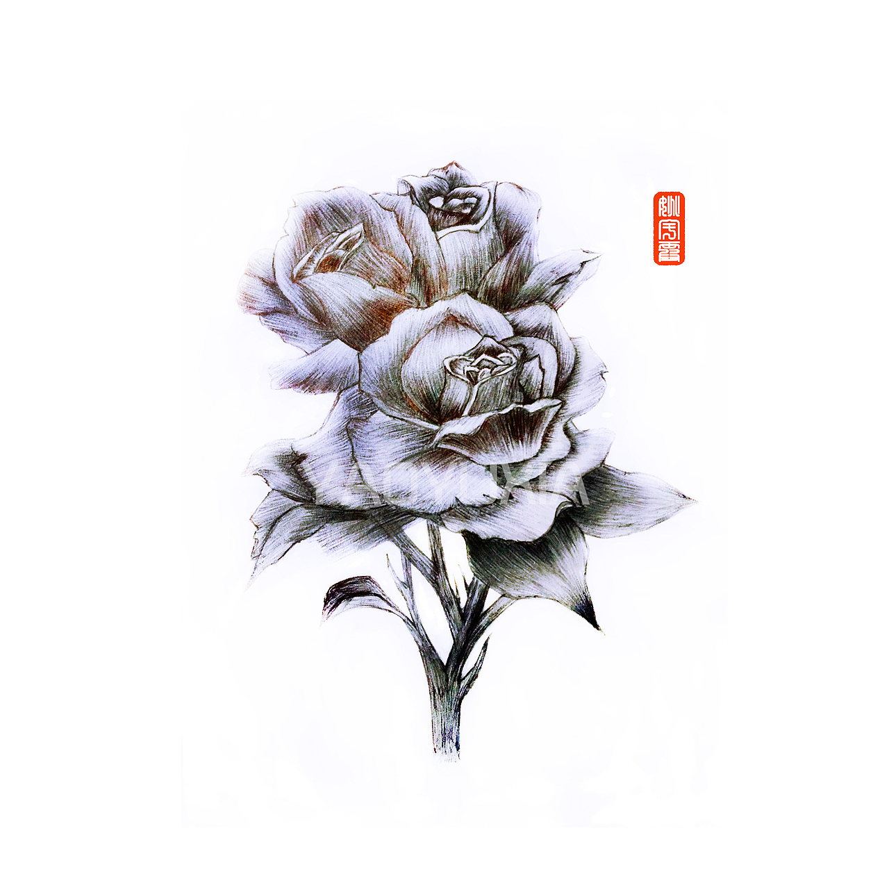 素描玫瑰花-情人节快乐。（图ZODk3OTQyMTI=） - 绘画 - 站酷设计师宇宙无敌小二逼原创素材 - 站酷ZCOOL