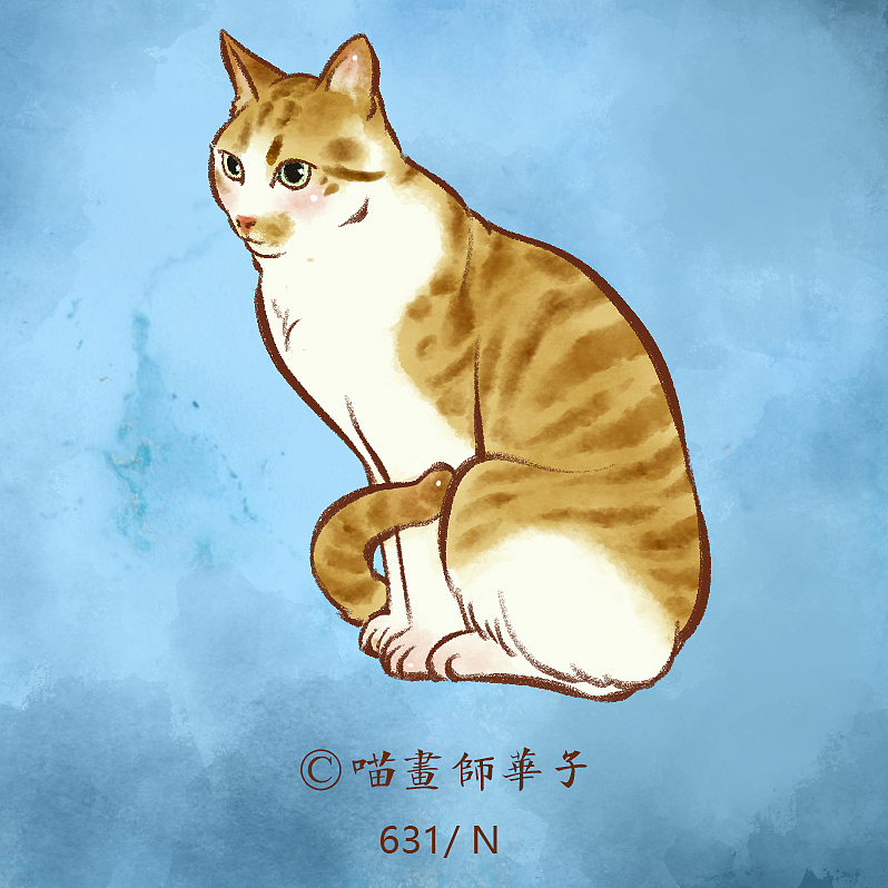 不断更日常画猫的275天（图ZMTk3ODk1NDQ0） - 艺术插画 - 站酷设计师喵画师华子原创素材 - 站酷ZCOOL